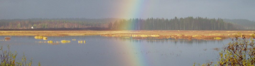 Välijoen Riistamiehet ry